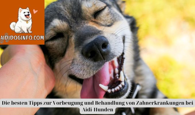 Die besten Tipps zur Vorbeugung und Behandlung von Zahnerkrankungen bei Aidi-Hunden