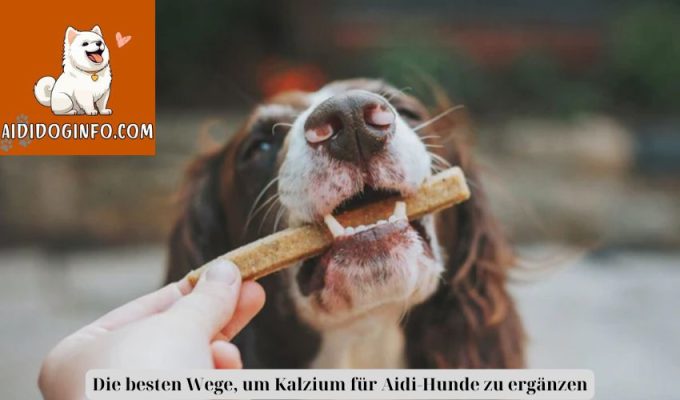 Die besten Wege, um Kalzium für Aidi-Hunde zu ergänzen