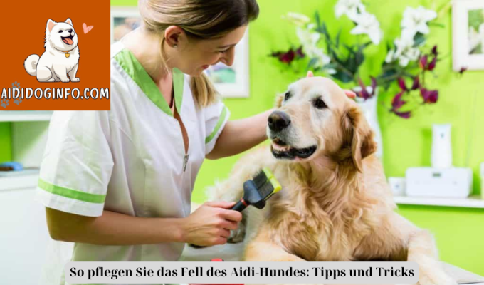 So pflegen Sie das Fell des Aidi-Hundes: Tipps und Tricks