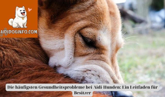 Die häufigsten Gesundheitsprobleme bei Aidi-Hunden: Ein Leitfaden für Besitzer