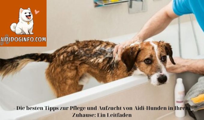 – Die besten Tipps zur Pflege und Aufzucht von Aidi-Hunden in Ihrem Zuhause: Ein Leitfaden