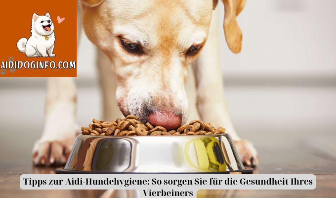 Tipps zur Aidi-Hundehygiene: So sorgen Sie für die Gesundheit Ihres Vierbeiners